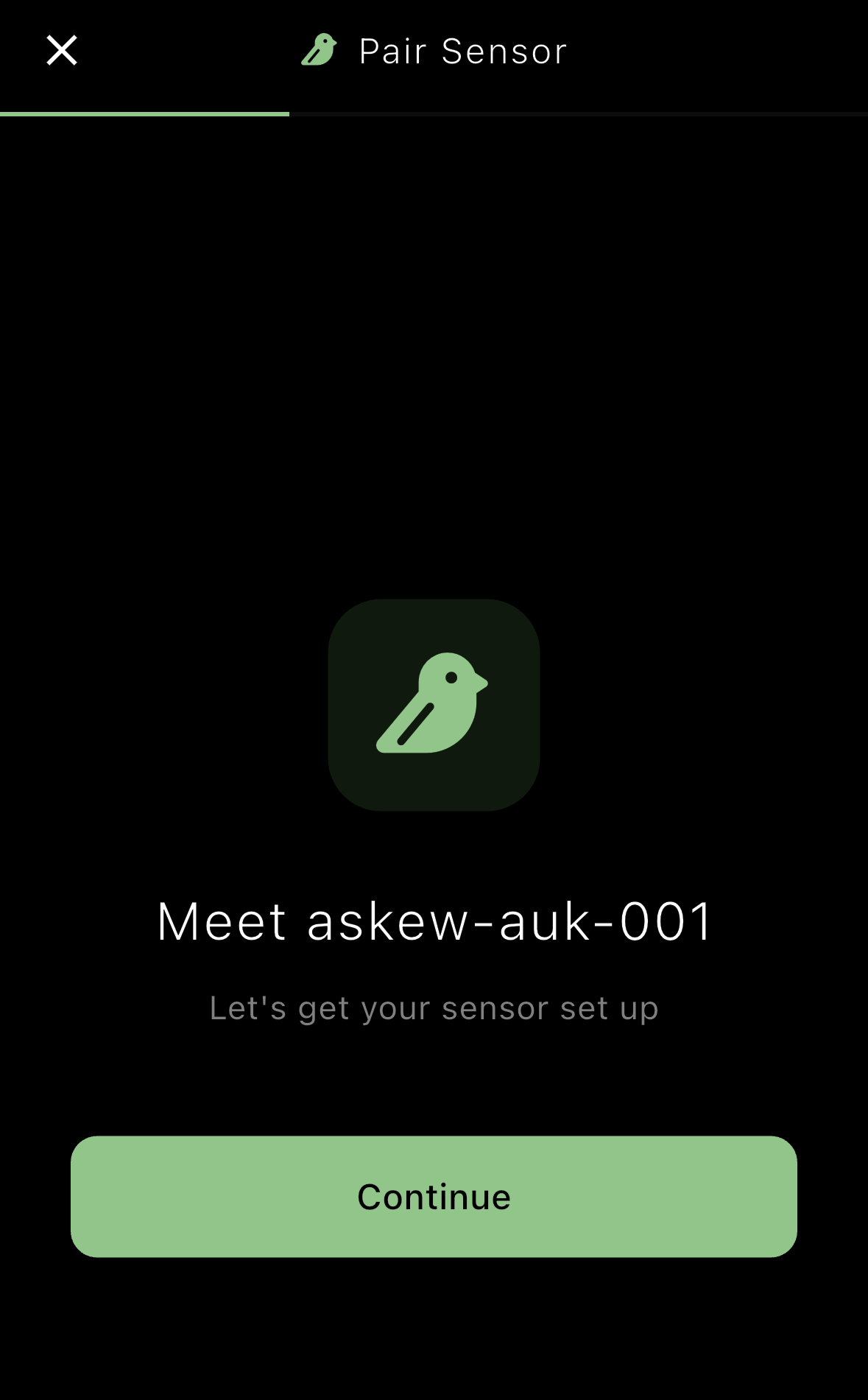 Phoebe app welcome screen showing Meet askew-auk-001 with bird icon