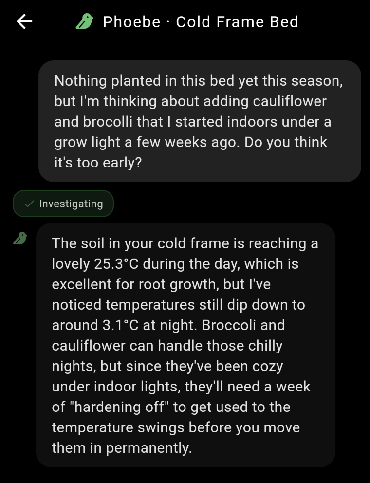 Phoebe advising on transplanting broccoli and cauliflower based on soil temperature data