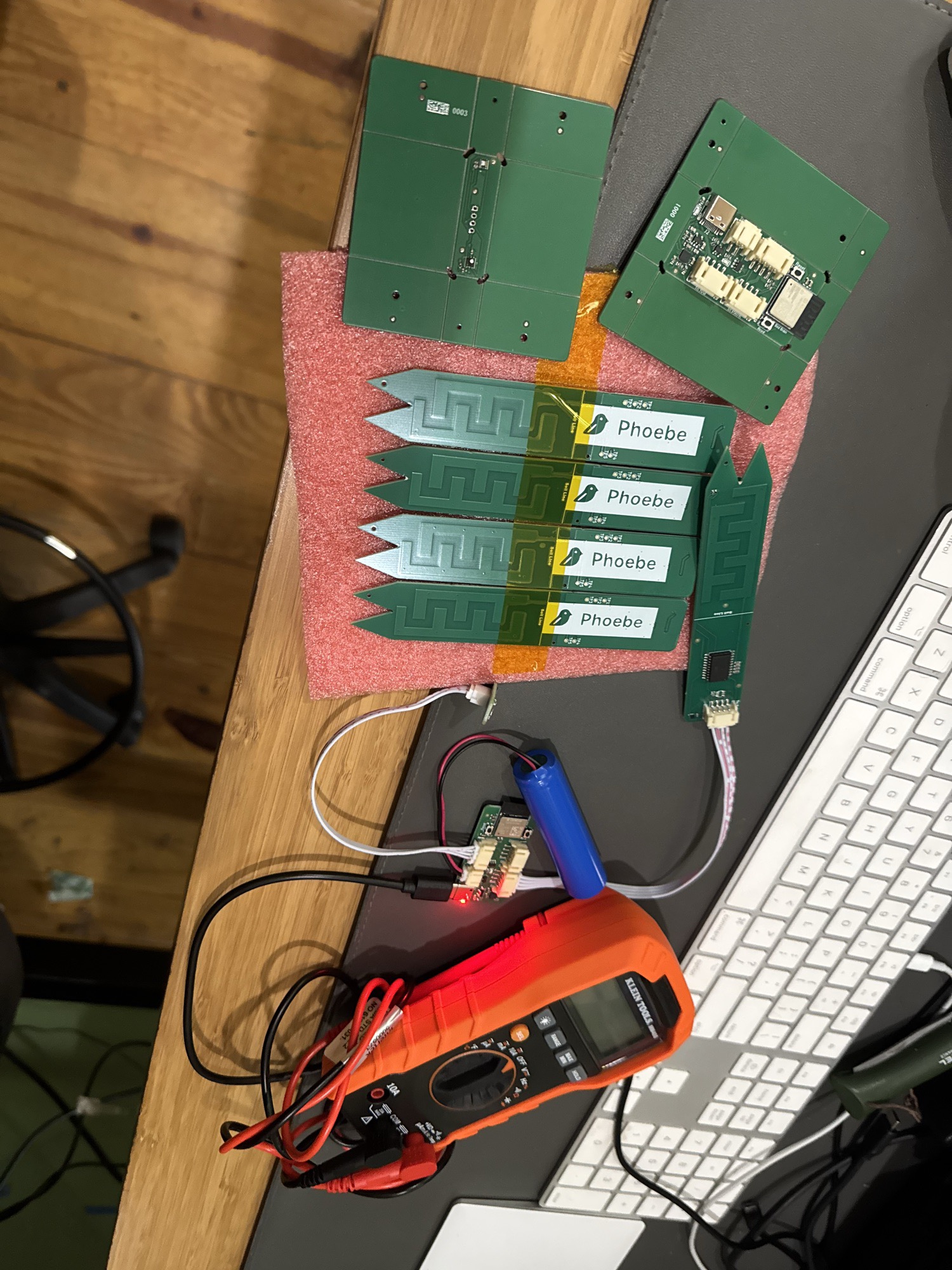 Four green Prong sensor blades laid out on pink anti-static foam with the Phoebe bird logo on each, next to two larger boards, a battery, and an orange multimeter